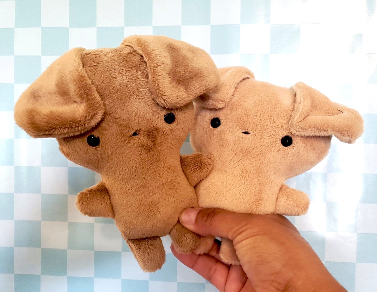Toffee and Tan Puppies