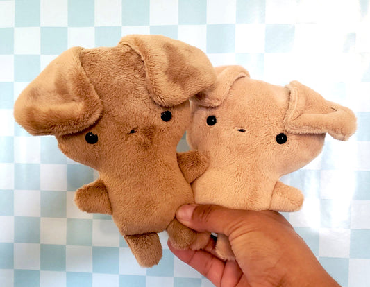Toffee and Tan Puppies